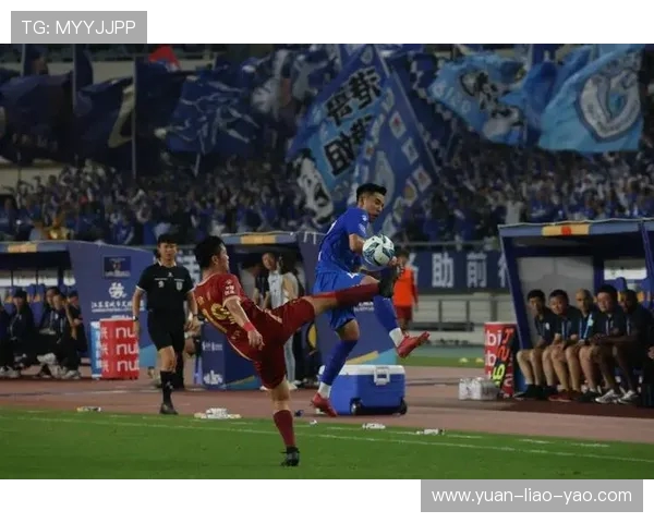 南京排球队逆袭之旅特别报道展现拼搏精神与团队协作的辉煌时刻