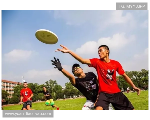 南京飞盘队引领潮流最新飞盘技术十强全面解析 南京飞盘队引领潮流最新飞盘技术十强全面解析