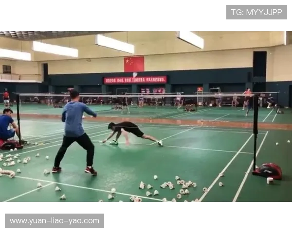 广州羽毛球队耐力训练揭秘助力运动员在赛场上突破极限