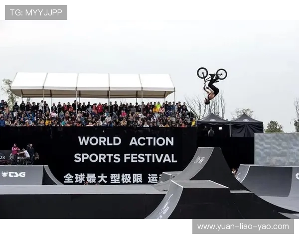 成都极限运动队个人能力表现数据分析与提升策略探讨