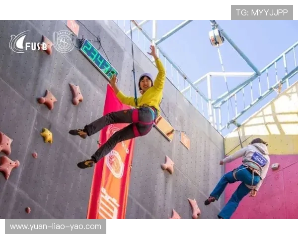 攀岩耐力排行榜揭晓北京攀岩队荣获第八名佳绩