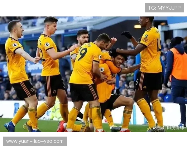 狼队与埃弗顿激战正酣直播盛况尽在眼前精彩赛事不容错过