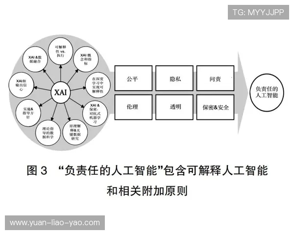 自由与神秘人之间的较量探讨与思考之旅