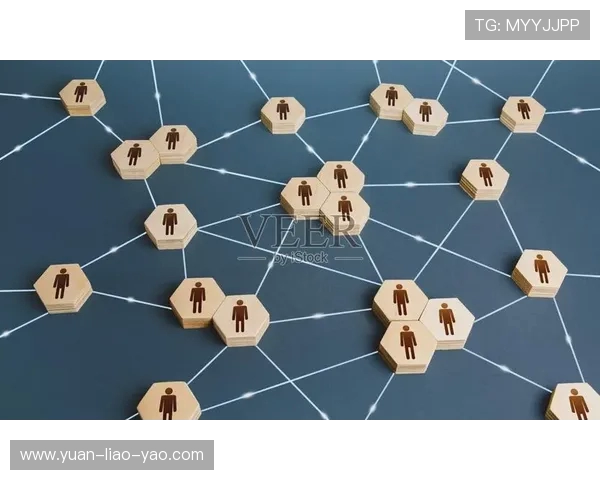 数据分析探讨：WE意识在社会互动中的表现与影响研究