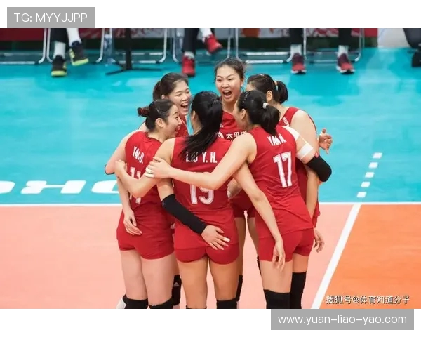 杭州排球队战术深度解析与实战应用探讨