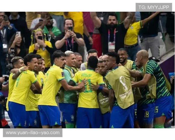 武汉羽毛球队在世界杯预选赛中的灵活性表现分析与点评