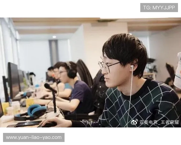 RNG在职业联赛中的比赛经验与表现分析与总结