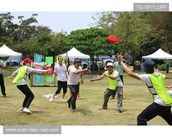 上海飞盘队运营革新探索:从团队建设到市场推广的全方位提升之路