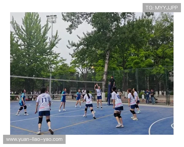 北京排球队在排球配合排名中创下历史新高引发广泛关注与赞誉