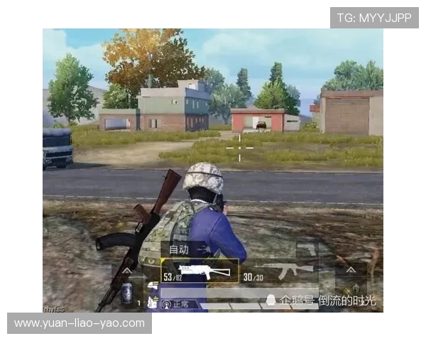 和平精英战术解析：深入探讨WE战队的区域防守策略与执行技巧