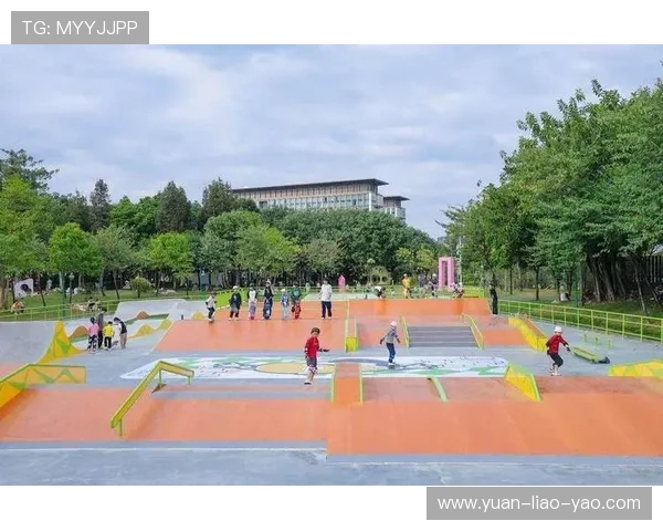 广州滑板队与杭州滑板队赛后战术分析与总结探讨