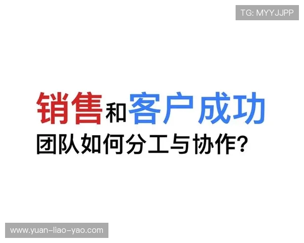 武汉网球队战术解析：如何提升团队协作与比赛胜率