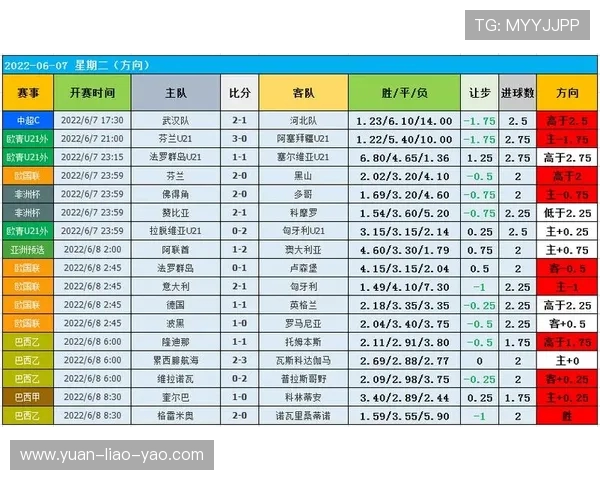 深入探讨上海足球队在比赛中的耐力表现与数据分析结果